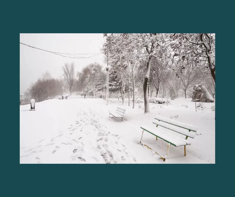 Winter park scene